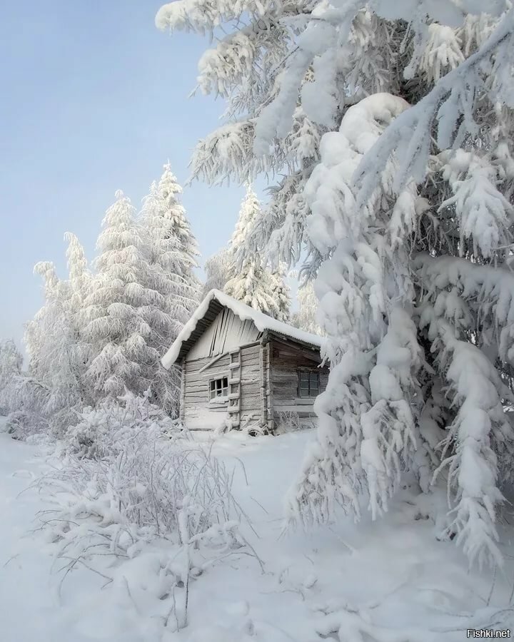избушка в зимнем лесу фото
