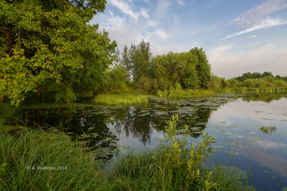 картинка реки шерна фото