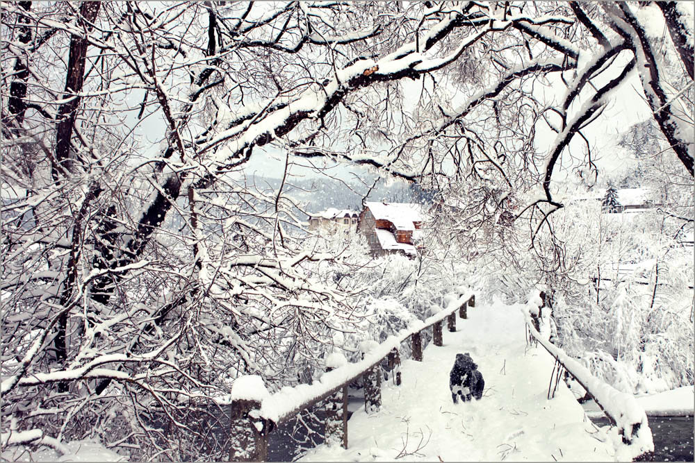 картинка запорошила зима фото