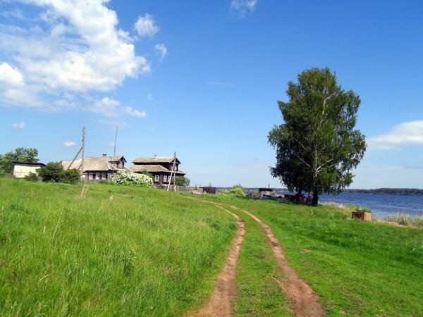 картинки деревня летом фото