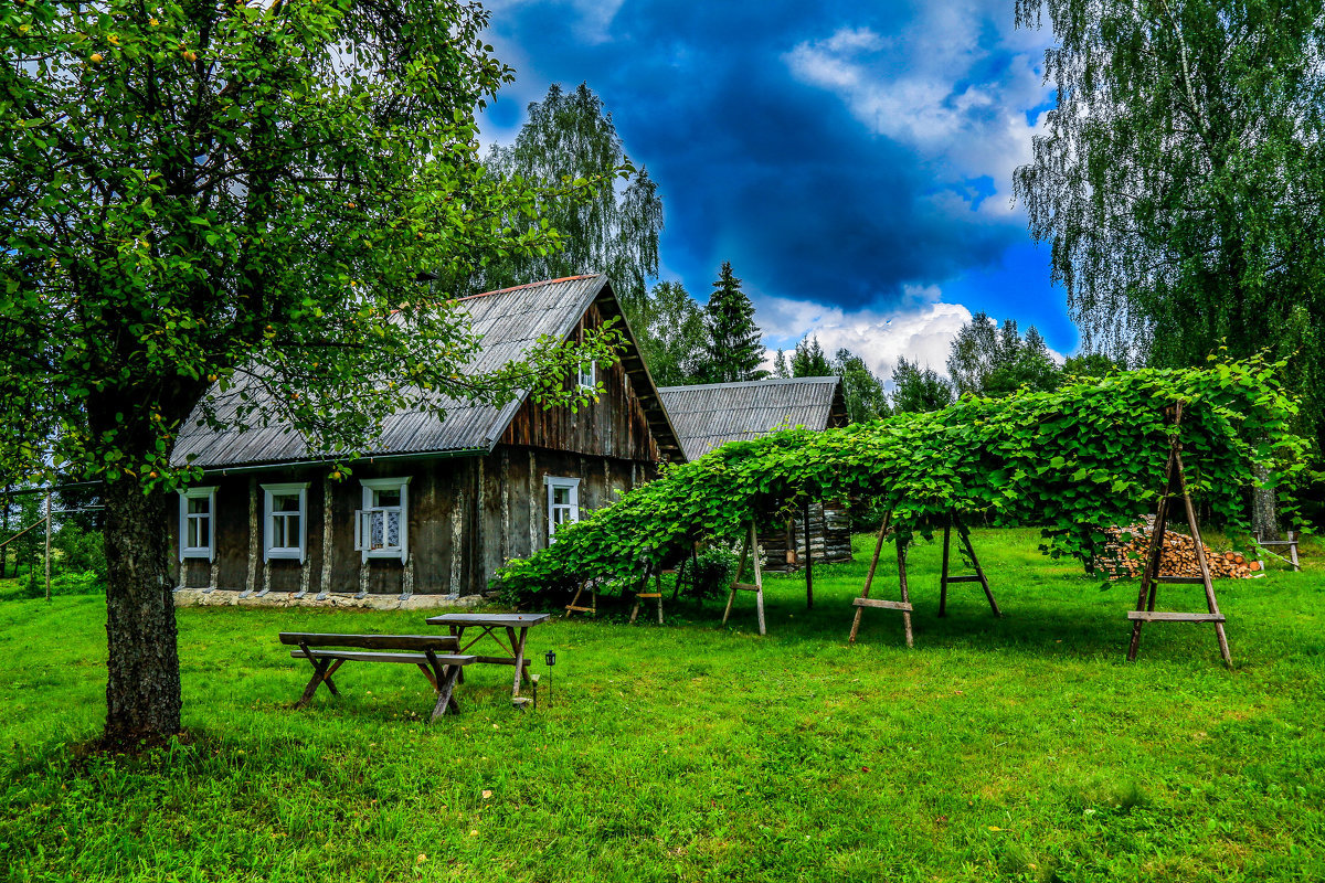 картинки деревня природа фото