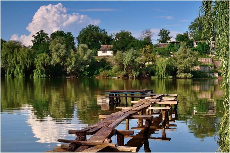 картинки места рыбалки у пруда фото