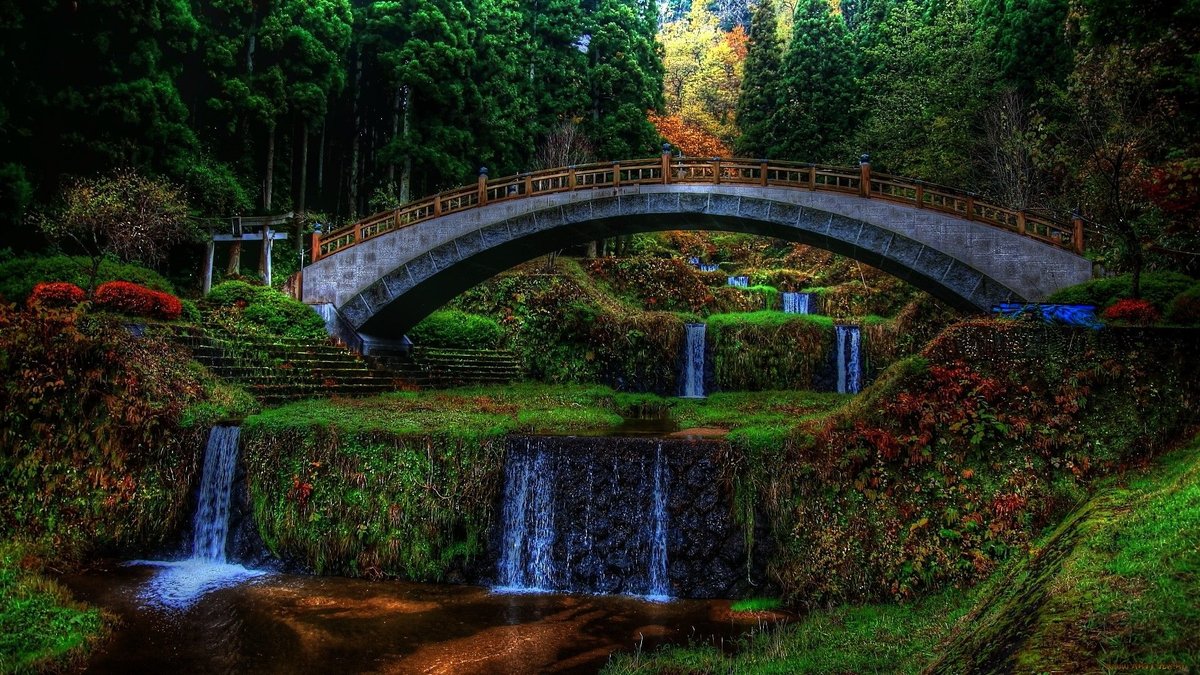 картинки на рабочий стол природа мост фото