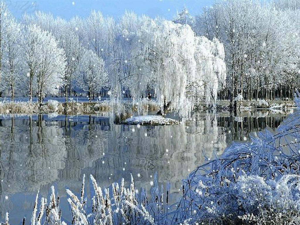 картинки зима красивые пейзажи анимационные фото