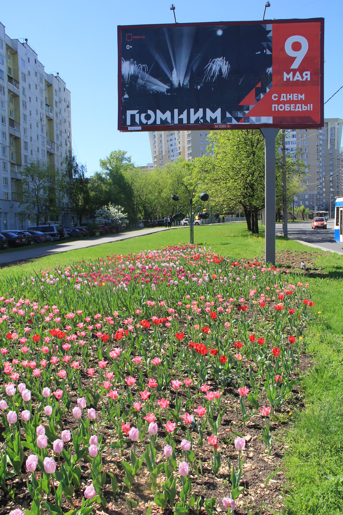клумба в аллее фото