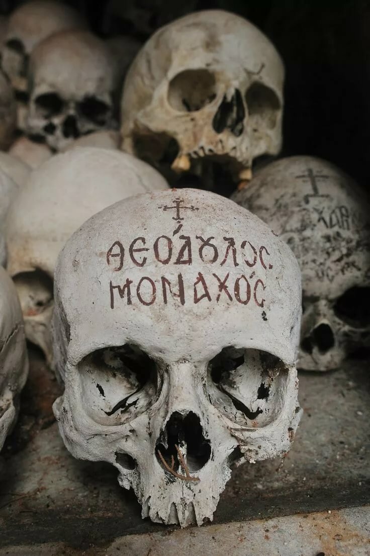 костница черепа фото