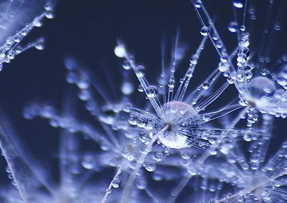 красивые картинки капли воды фото