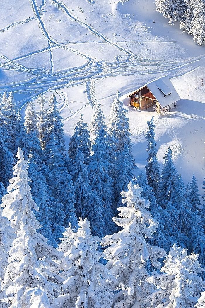 красивые картинки зима снег фото