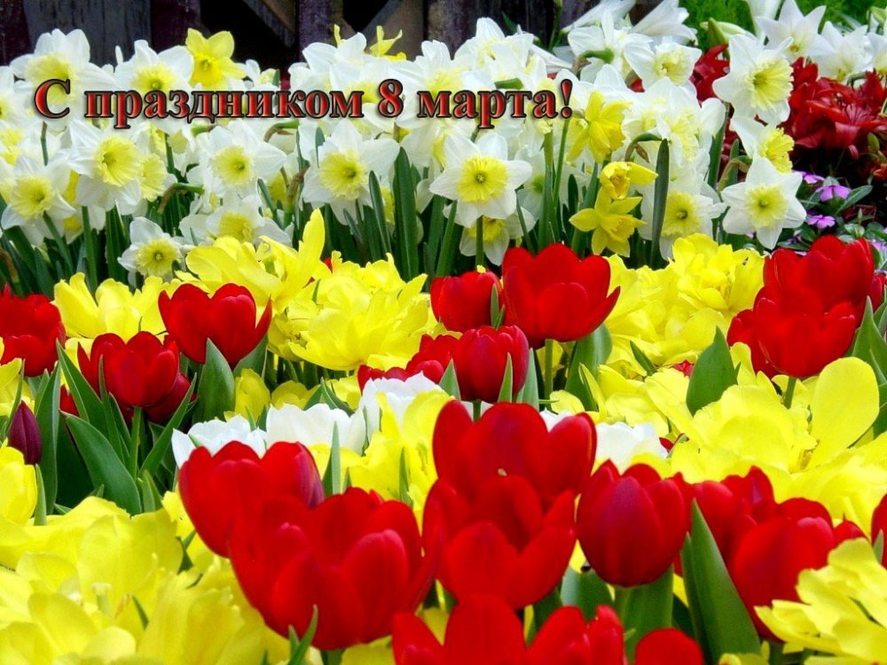 красивые цветы на 8 марта фото