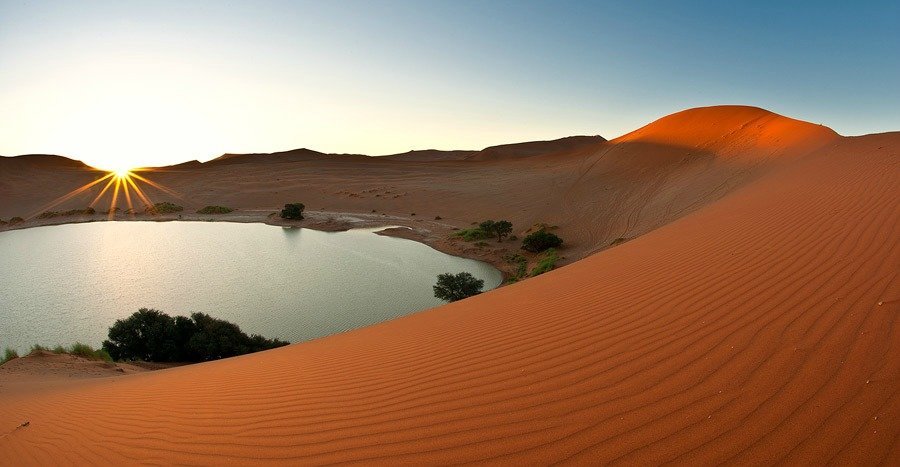 красивый оазис в пустыне фото
