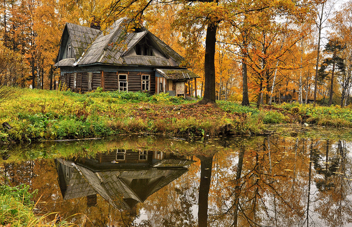 лес осень домик фото