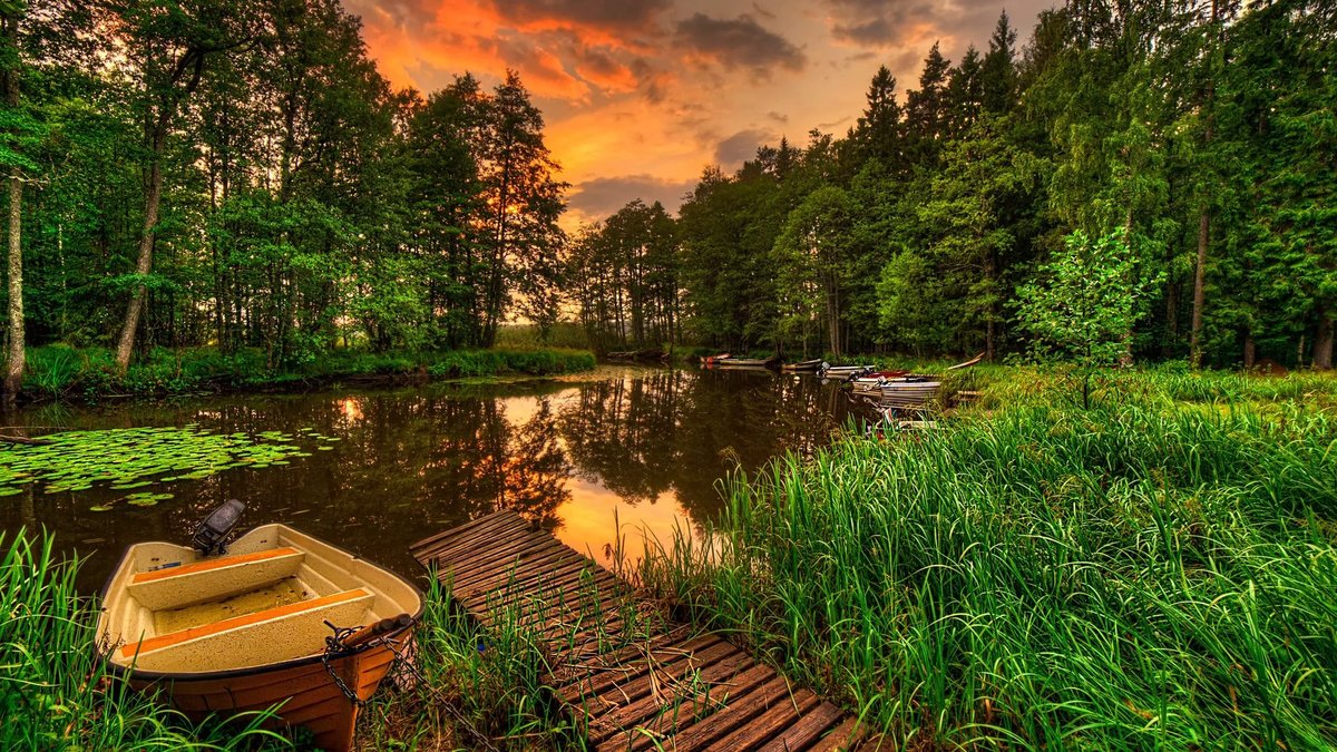 лесное озеро пейзаж фото