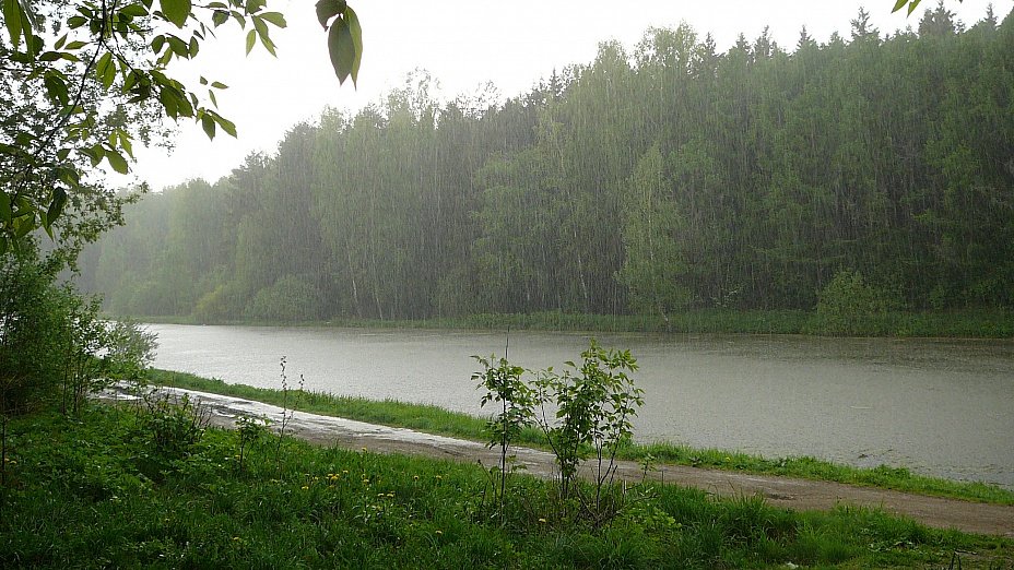летний дождь на озере фото