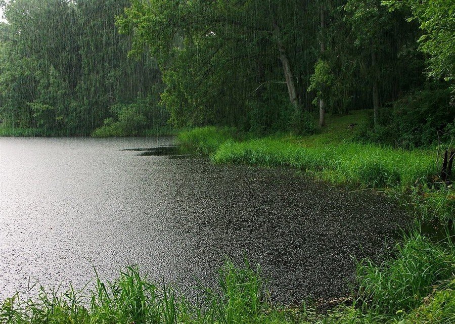 летний дождь на озере фото