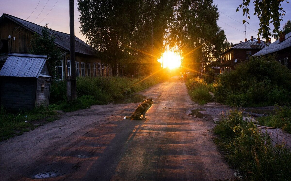 летняя ночь в деревне картинки фото