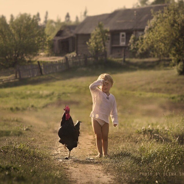 лето в деревне фото дети фото