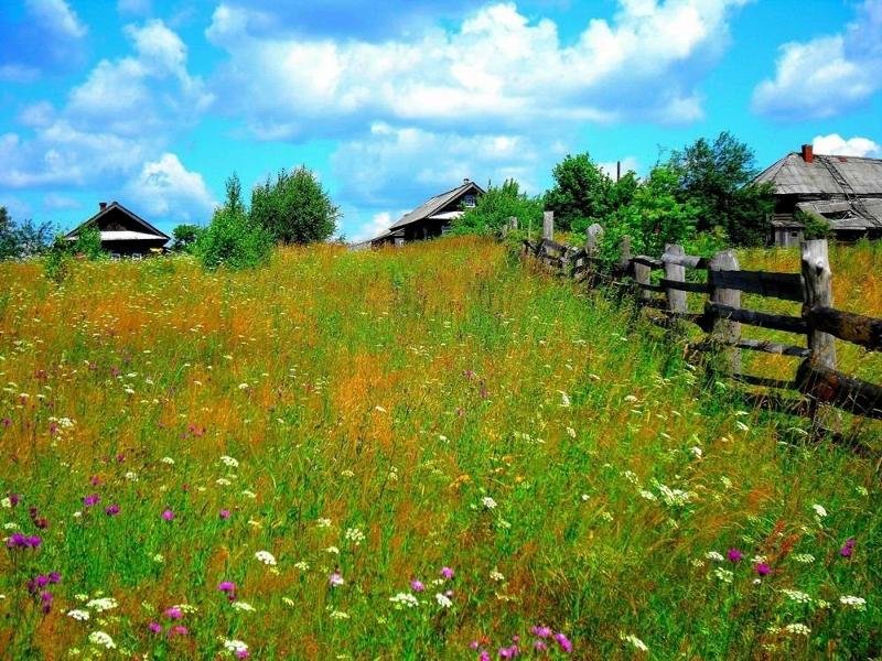 лето в деревне фото картинки фото