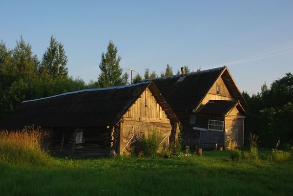 лето в русской деревне фото