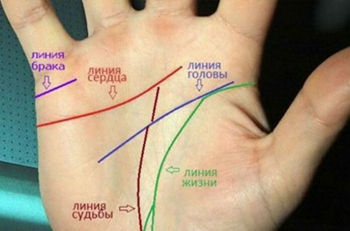 линия брака фото