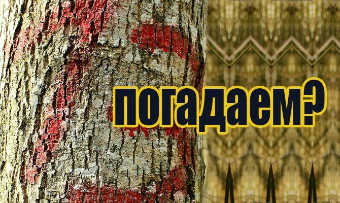 Логотип фото