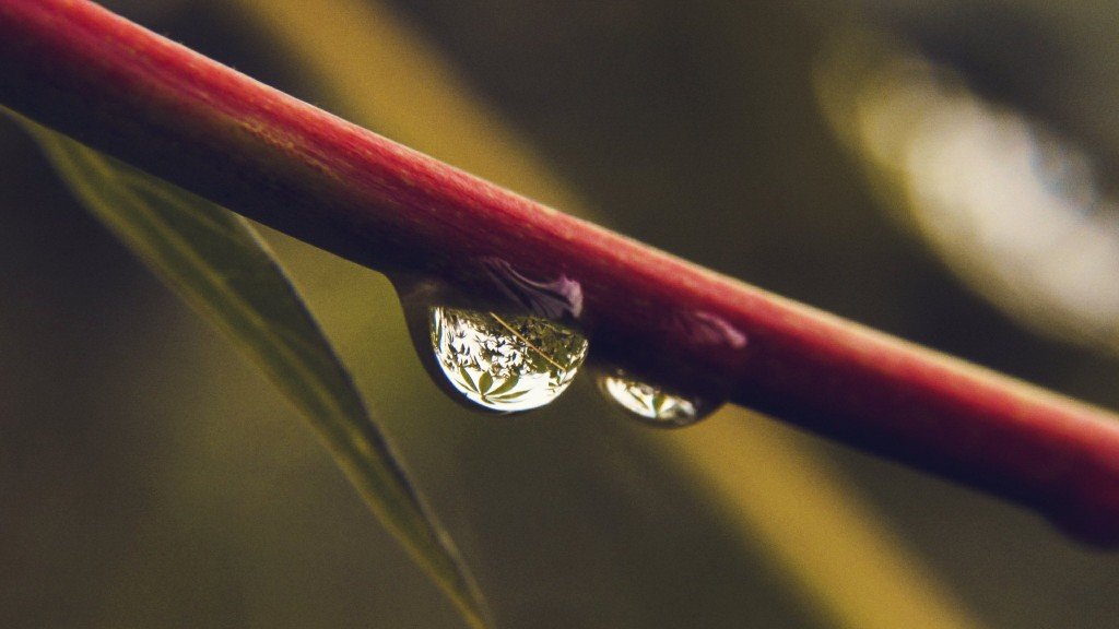 макросъемки вода фото