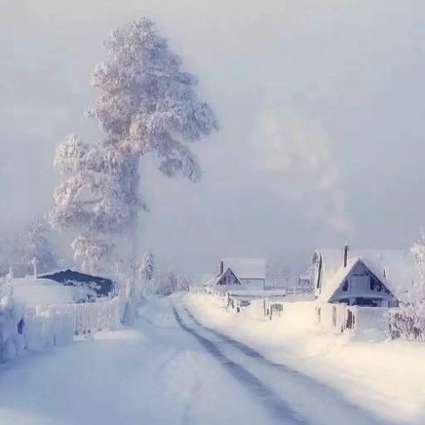 метельная зима фото