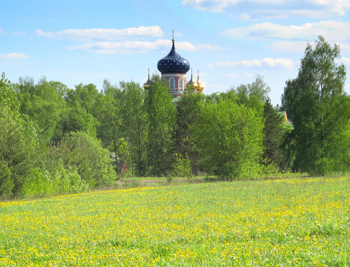 михальково фурмановский район фото