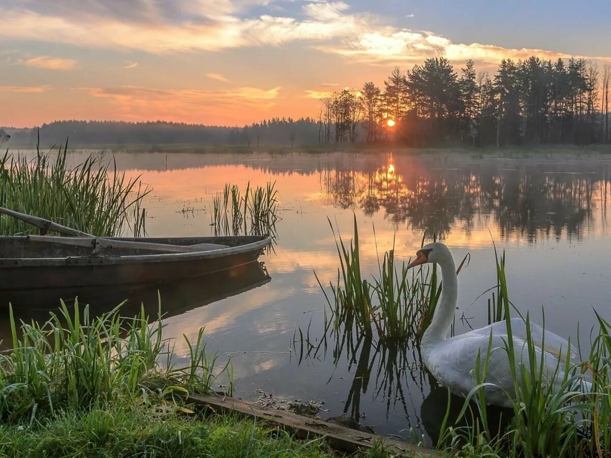 минская природа фото