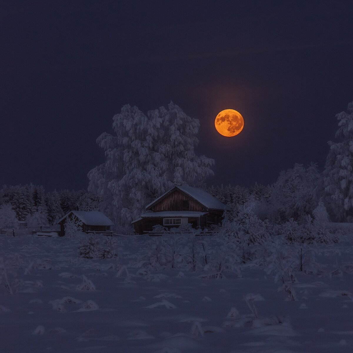 ночь луна фото снег дом фото