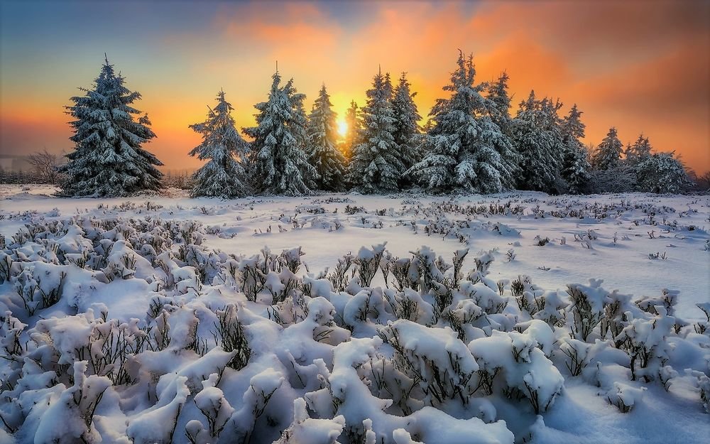 обои зима 1280 1024 фото