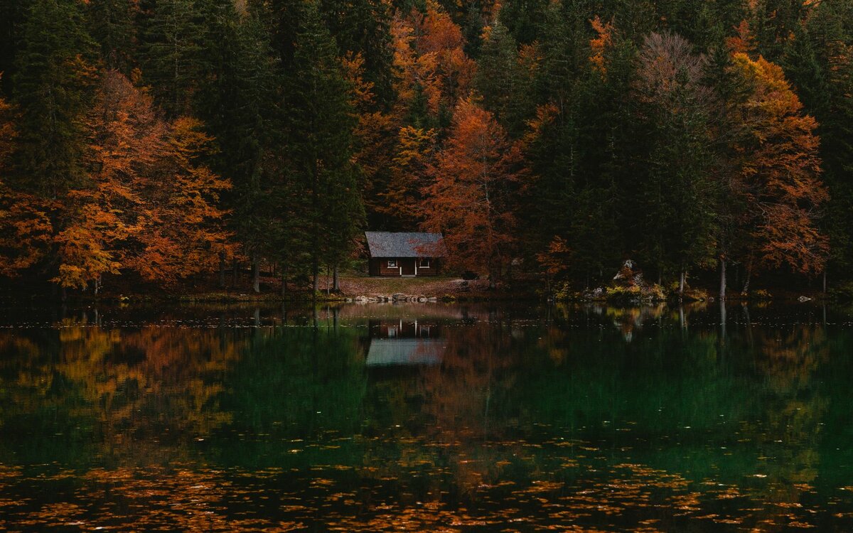 осень лес озеро домик фото