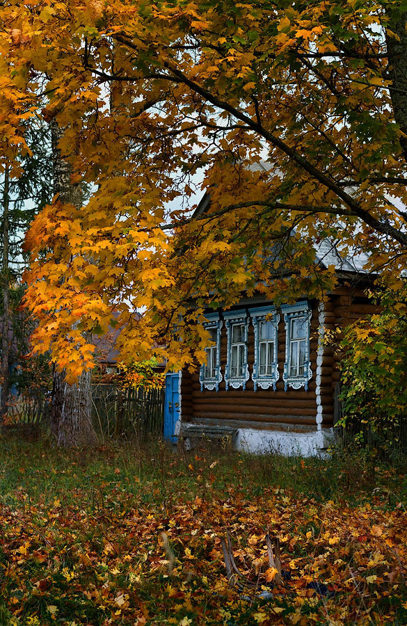 осень в деревне фото