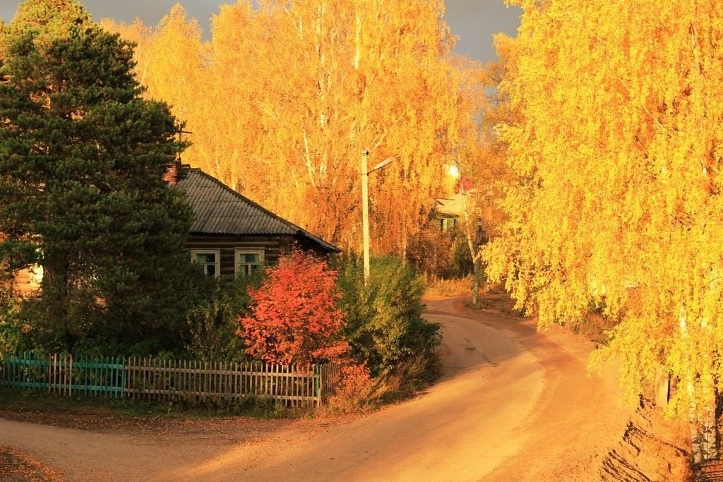 осень в деревне фото красивые фото