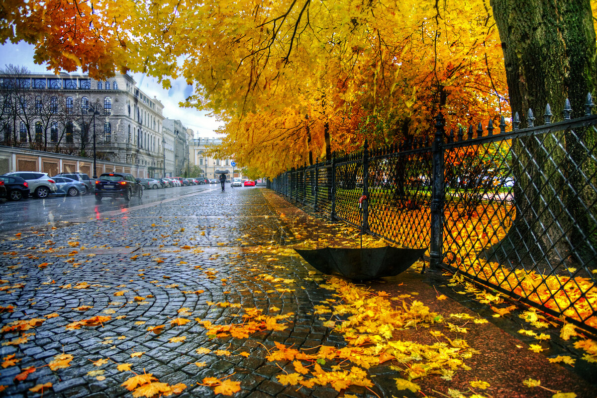 осень в петербурге картинки фото
