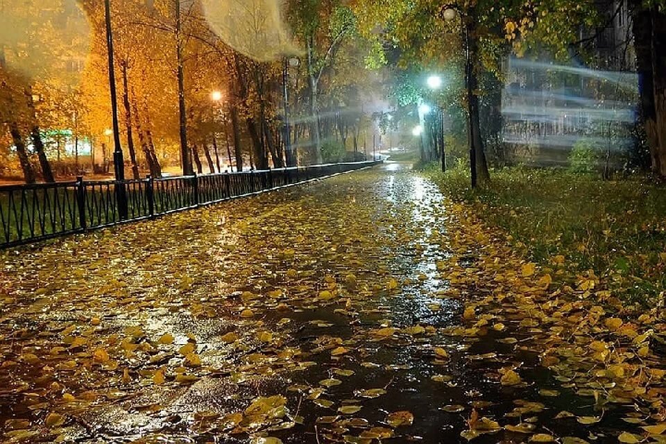 осенний дождь картинки фото