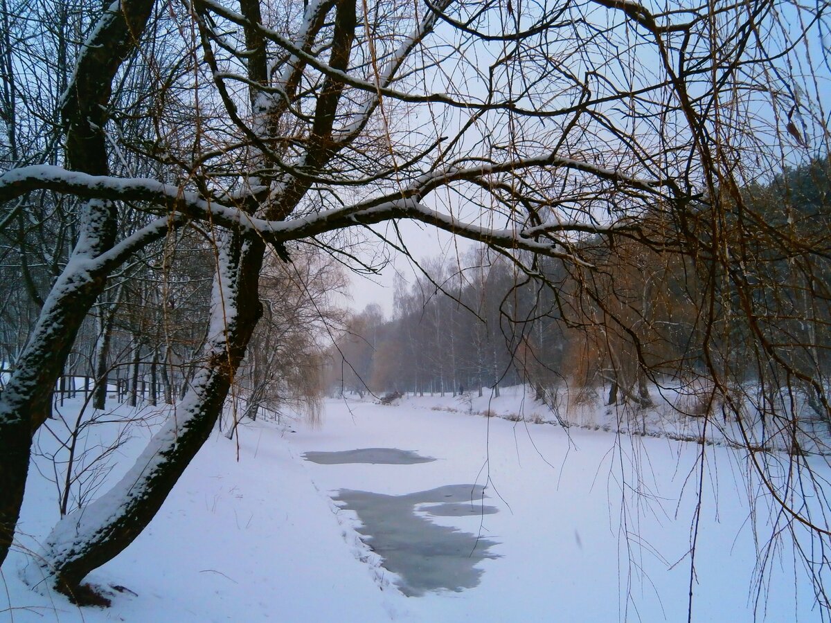 парк авиаторов зима фото