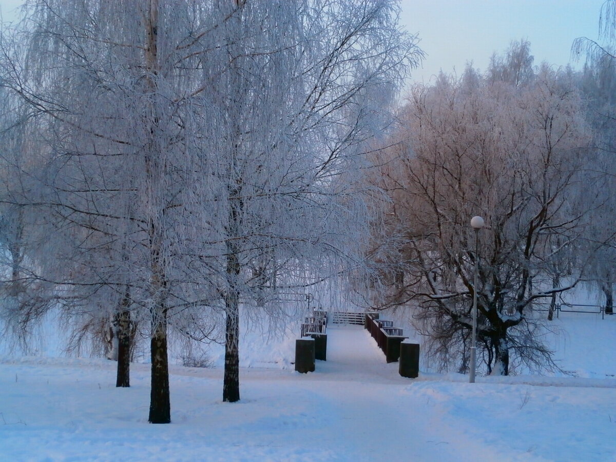 парк иней фото зима фото