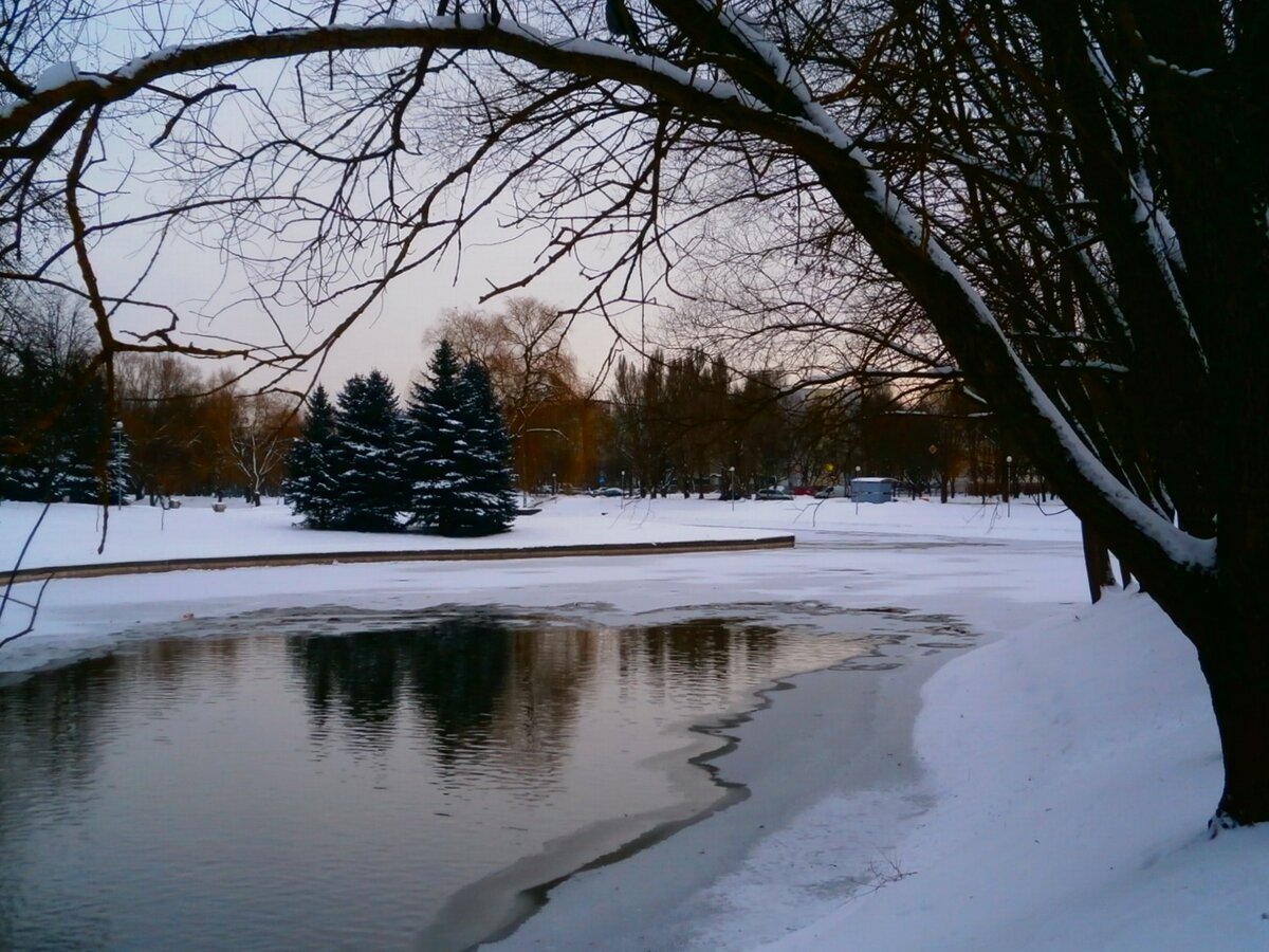 парке победы зимой фото