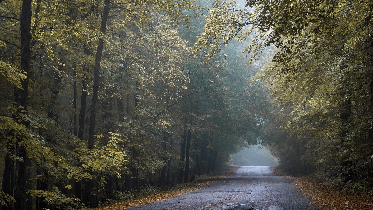 пейзаж с дождем фото