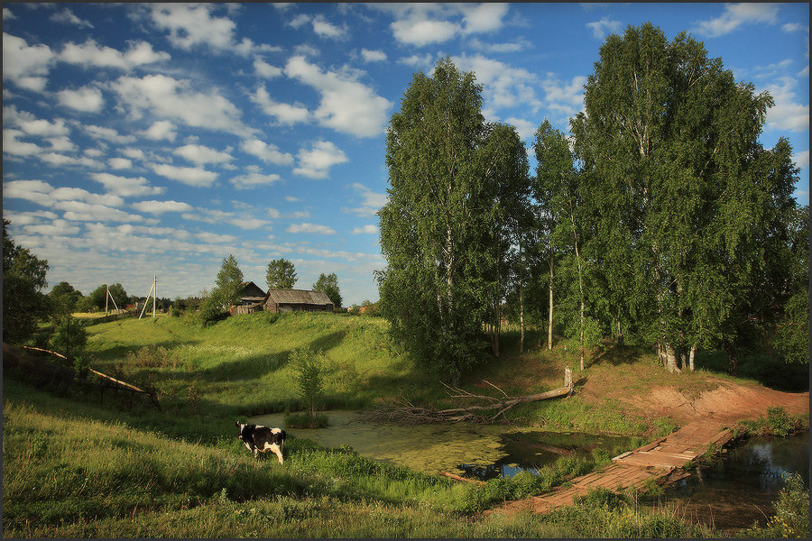 пейзаж за околицей деревня фото