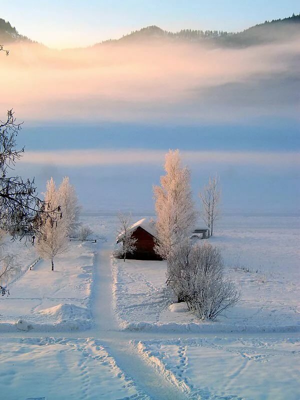 пейзаж зимой фото