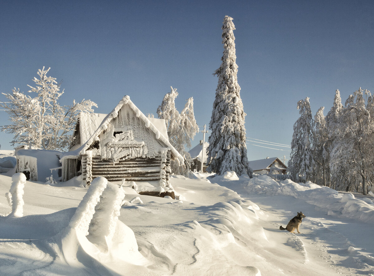пейзажи сибири фото зимние фото