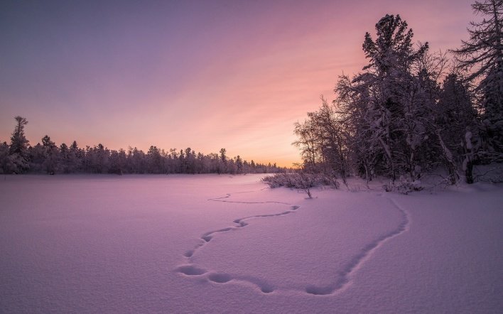 поле зима закат фото