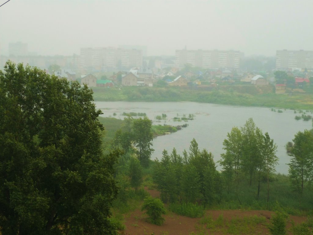 придачная дамба воронеж фото