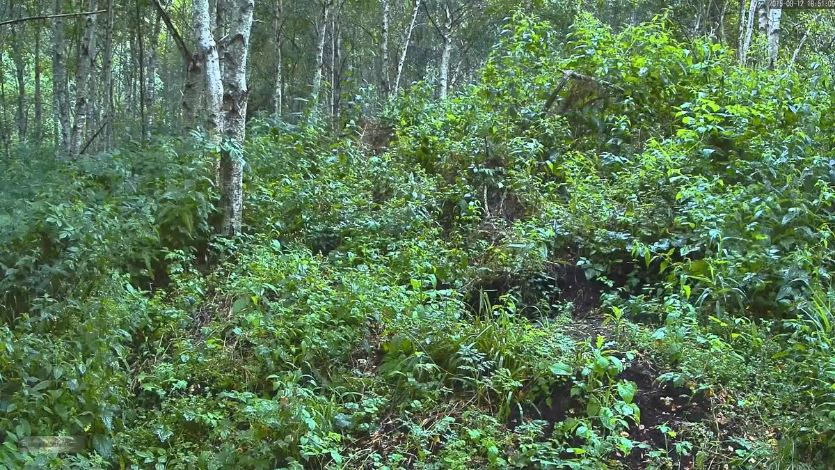 Природа фото