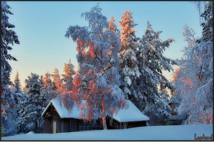 природа россии красавица зима фото