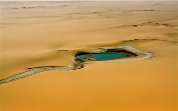 пустыня сахара оазис фото