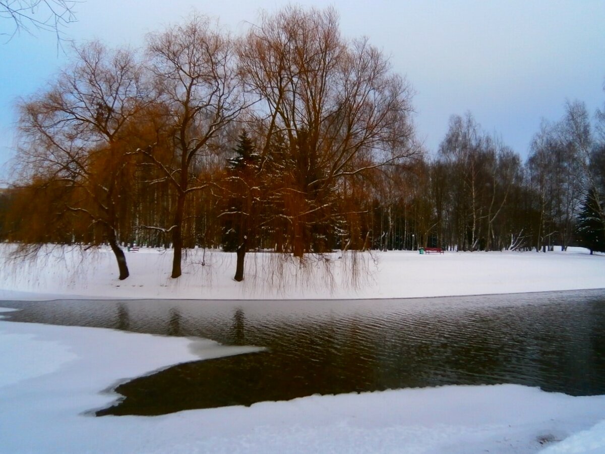 путяевский пруды зимой фото