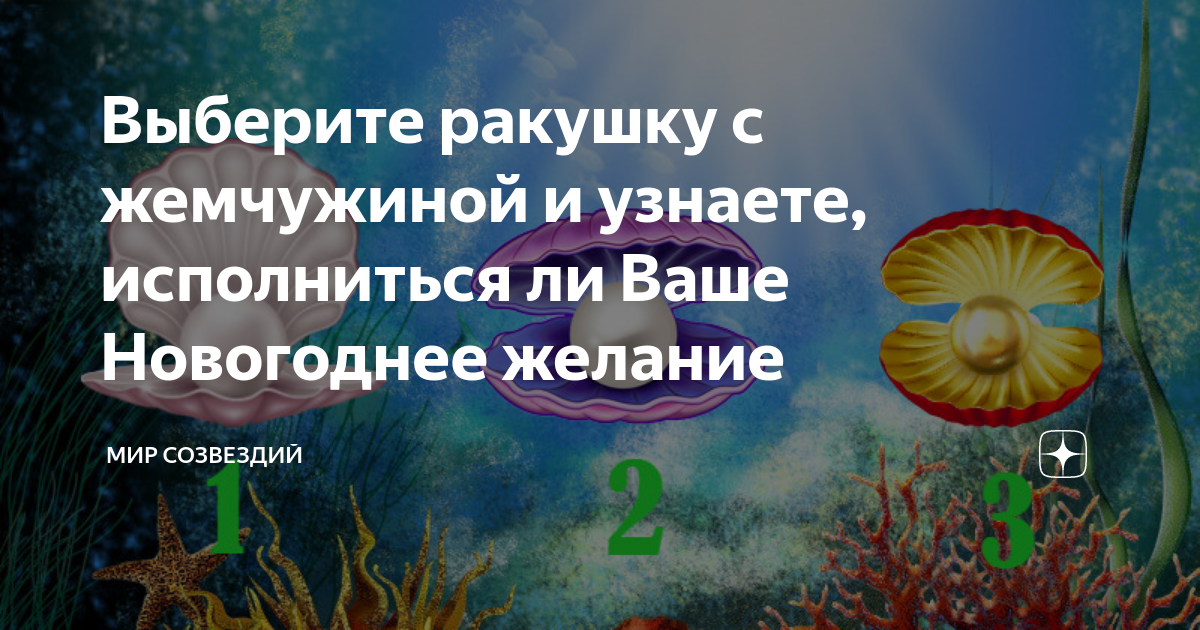 ракушка с жемчужиной фото