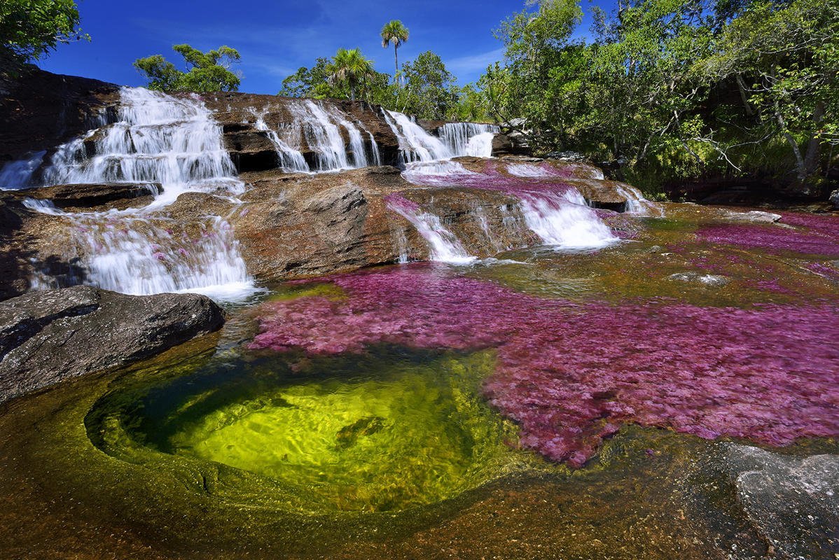 река каньо-кристалес колумбия фото